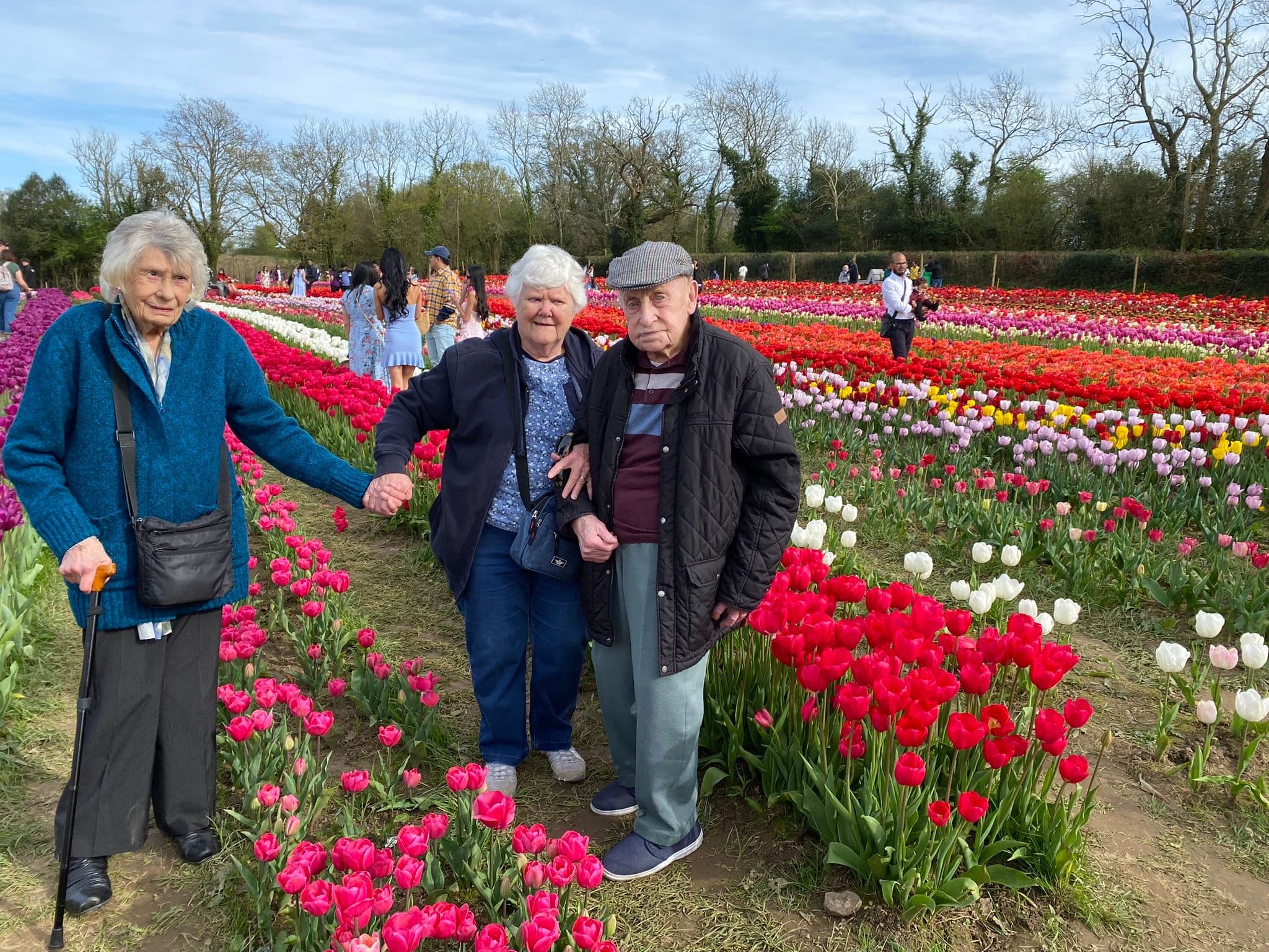 tulip_fest_10